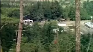 نيك في كل مكان من الغابة إلى الماء