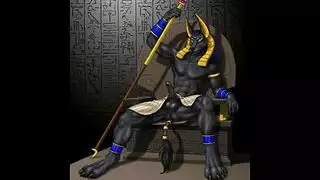 بزاز نسوان مربربه