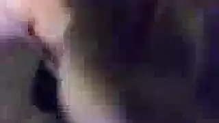 حلاء الترك المغنيه الكوتيه